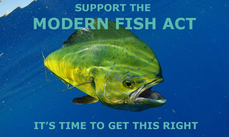 The Modern Fish Act Needs Your Help!