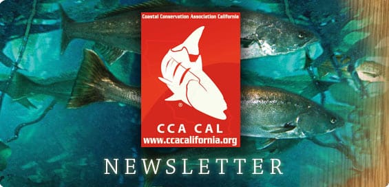 December 2021 Newsletter