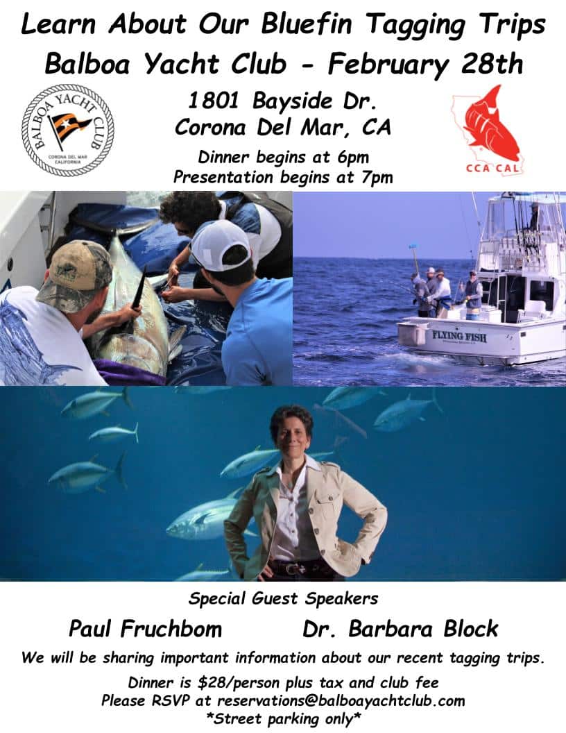 Presentation On The Bluefin Tagging Program Scheduled For Feb. 28th