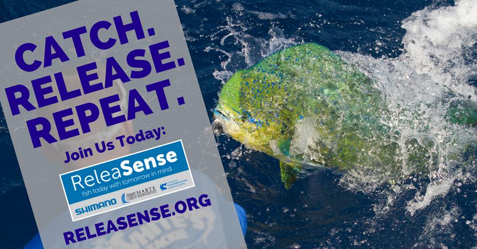 CCA, Shimano, Harte Research Institute Partner To Back ReleaSense.org