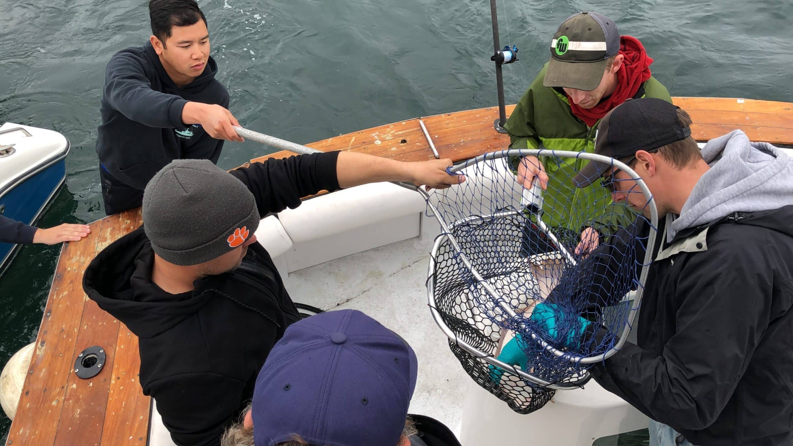 Latest Broodstock Trip Yields 19 Halibut