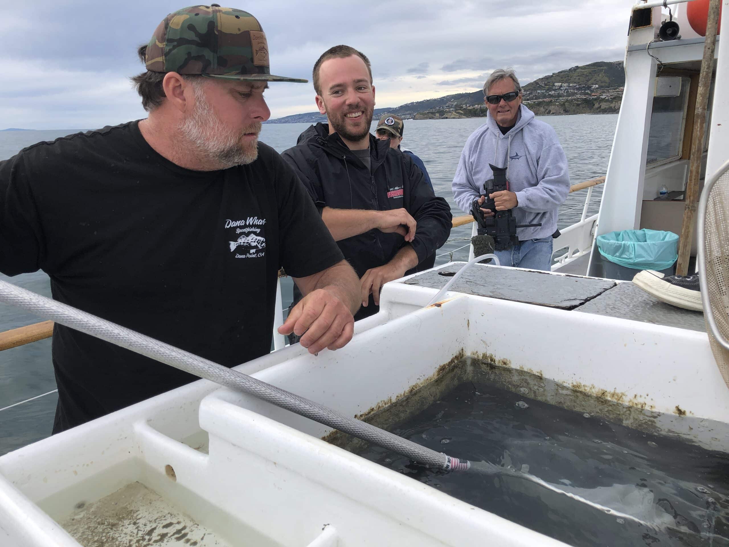 CCA CAL Takes Part In Juvenile White Sea Bass Release Off Dana Point