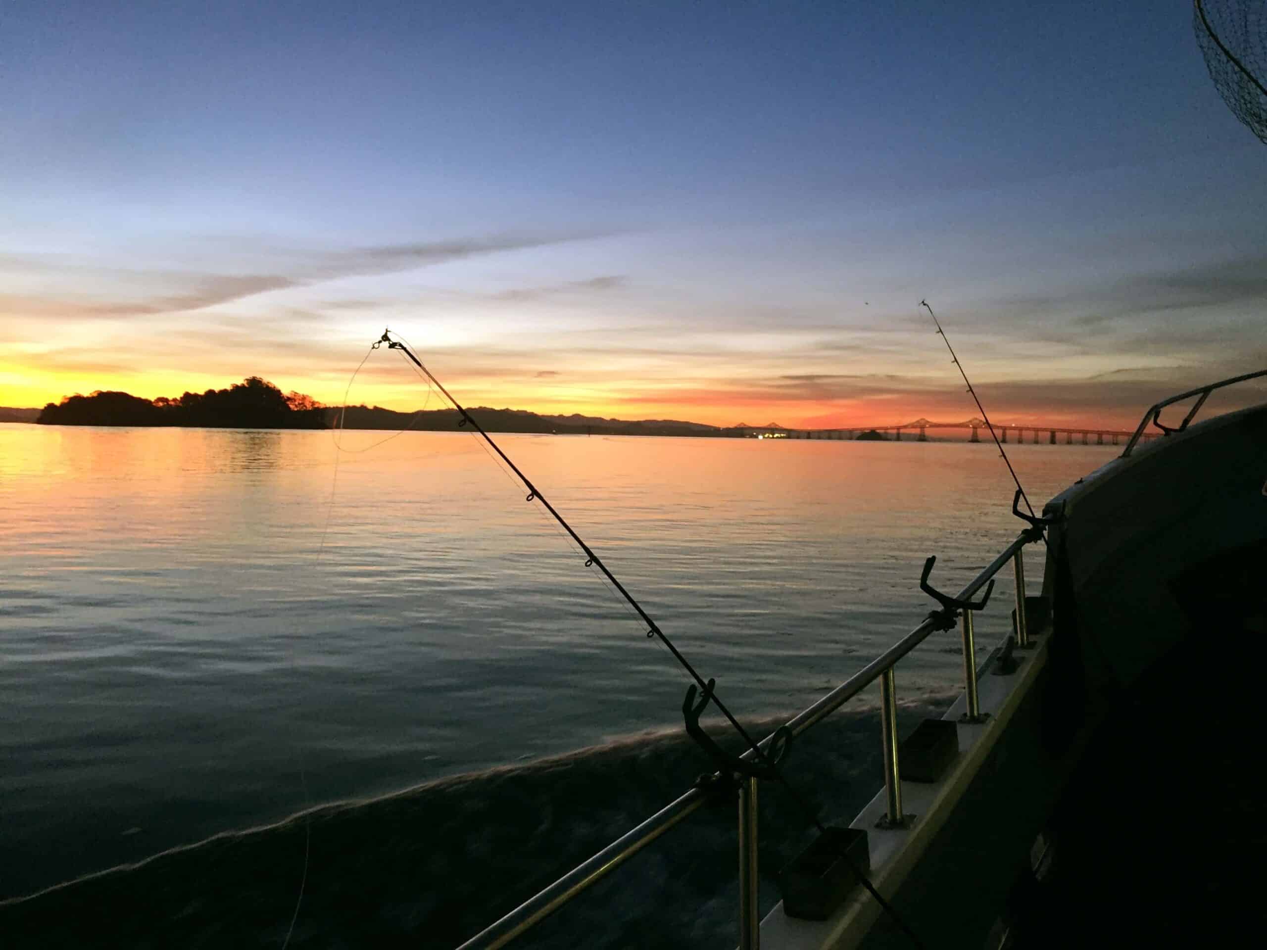 Two Webinars Scheduled For Prioritizing California’s Fisheries For Management Efforts