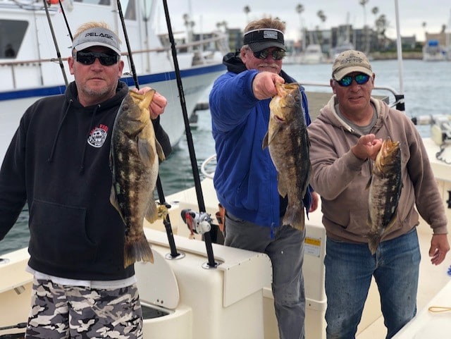 Halibut Come Out For CI’s Calibut Challenge