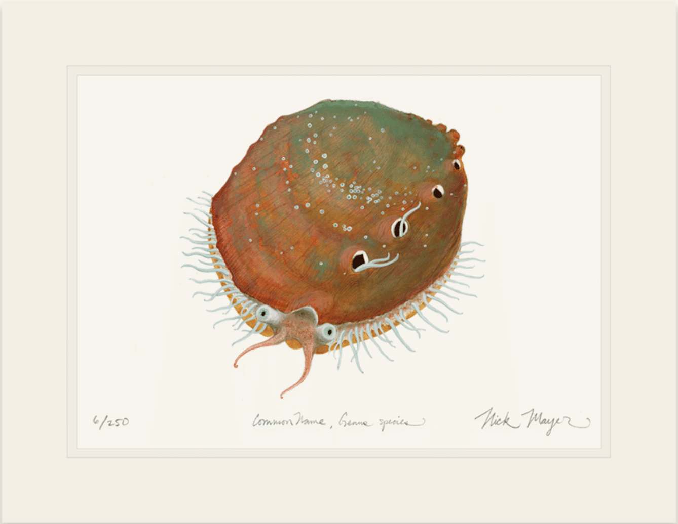 Art Opportunity Supports Restoration of White Abalone to Southern California