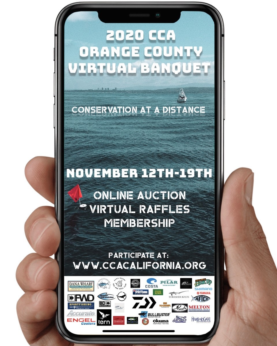 Big Winners in Orange County Chapter Virtual Banquet