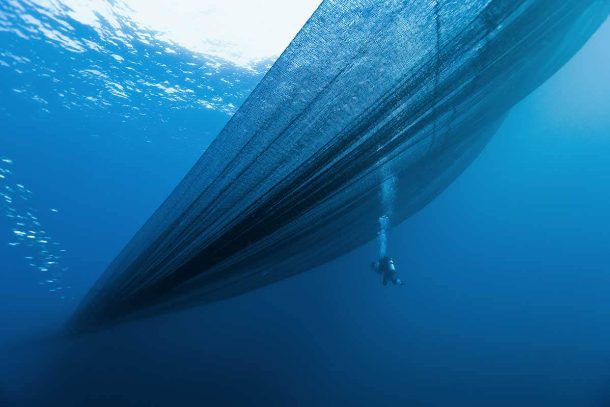 Driftnet Modernization Act Failed To Pass in 2020