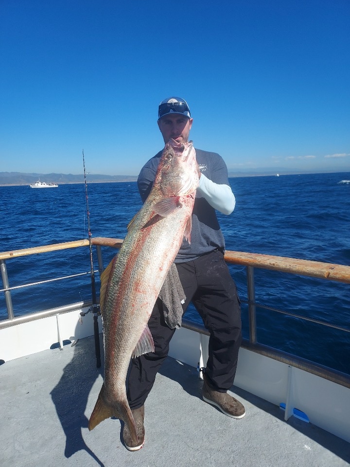 45-pound white seabass caught by local angler as sportfishing season kicks off