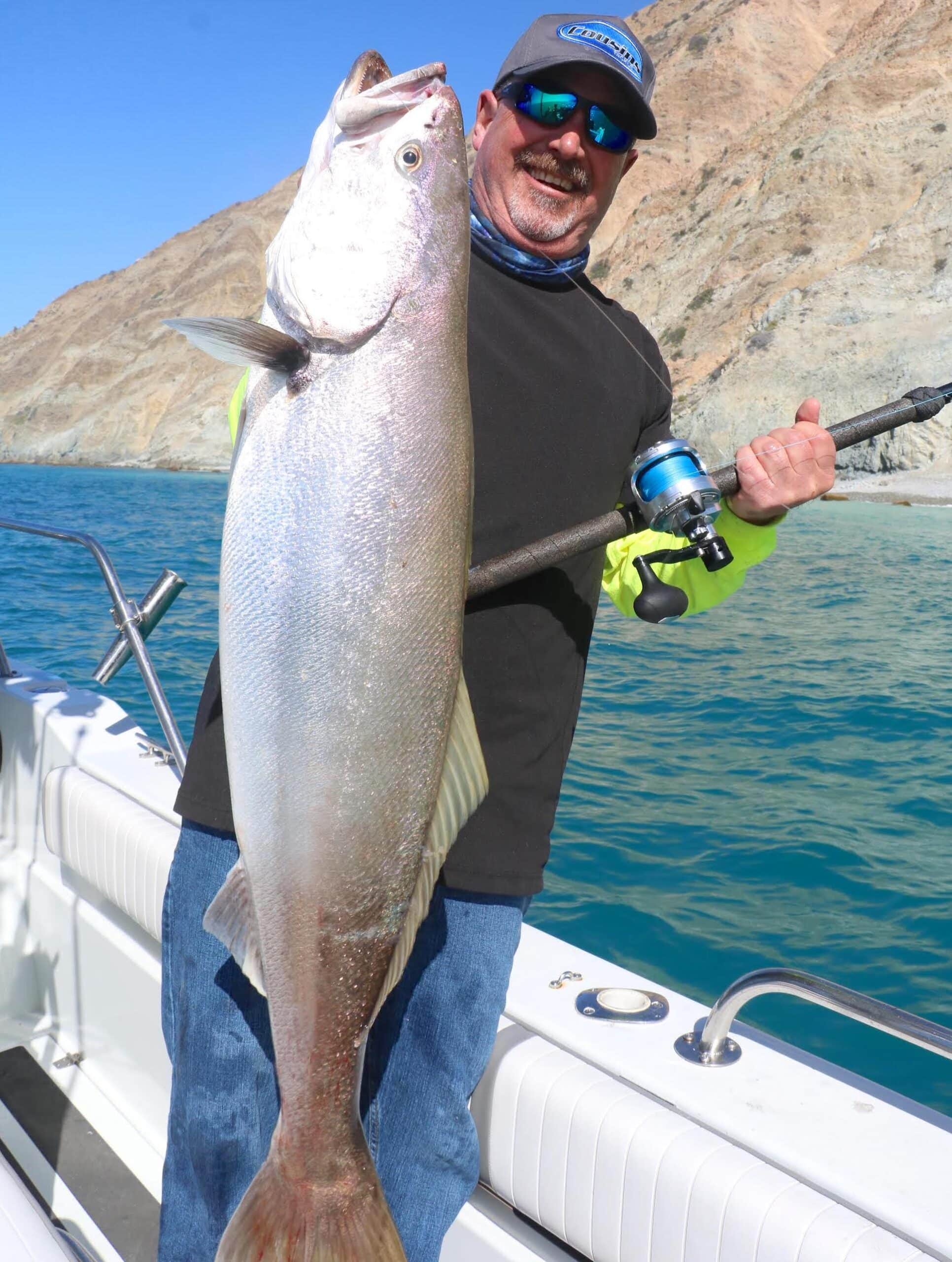 Significantly More White Seabass Caught in California are Hatchery Fish Than Previously Thought, Genetic Research Indicates