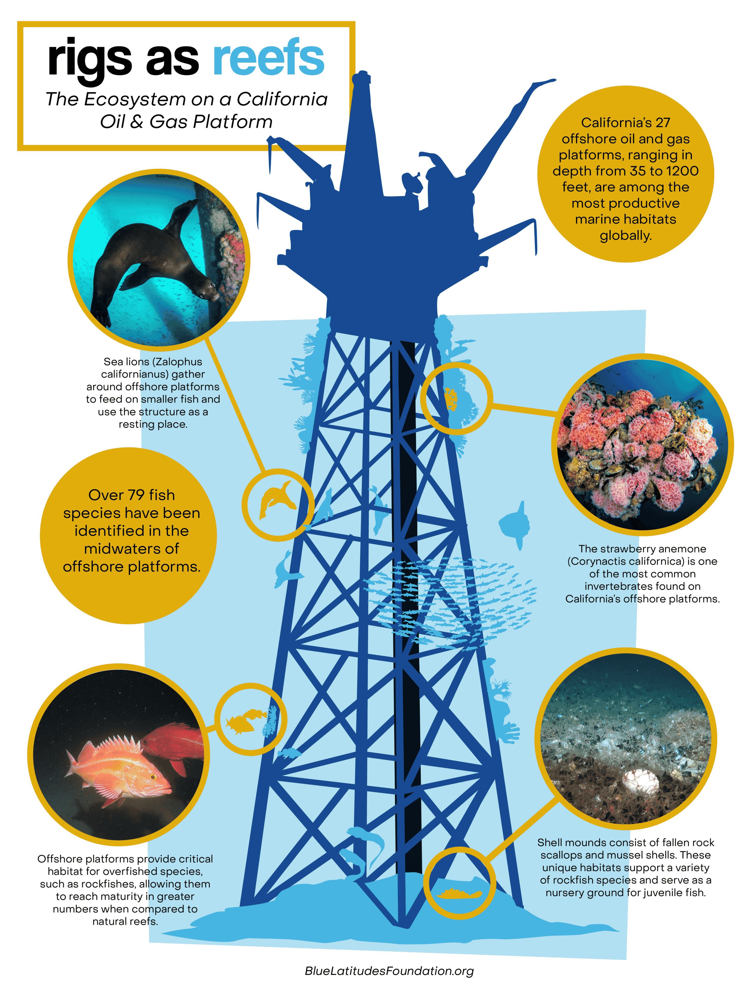 The Coastal Conservation Association of California Works to Support Blue Latitudes Foundation in Their Efforts to Understand the Value of Oil Rigs as Fisheries Habitats