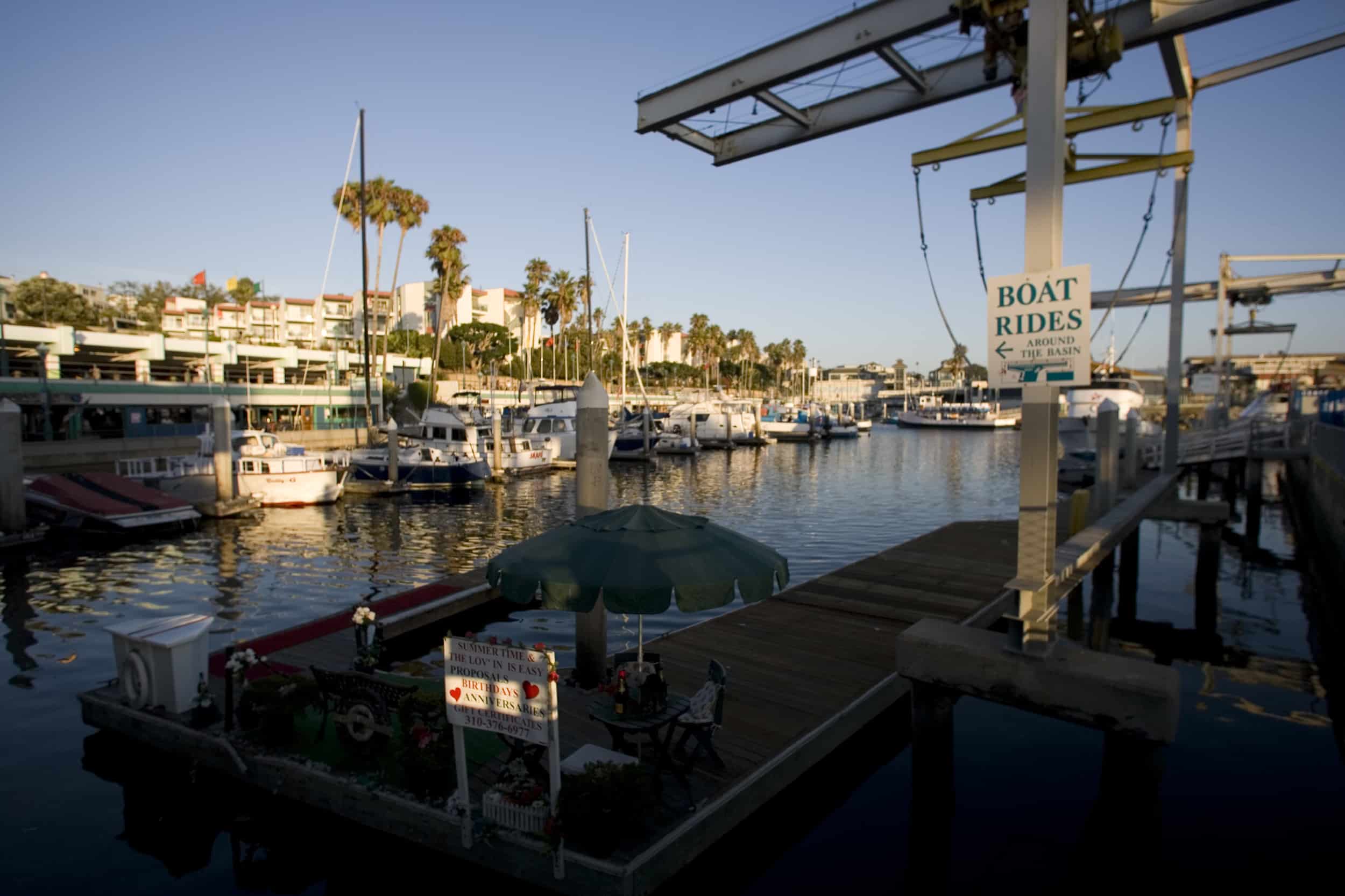 Recreational Fishing and Boating Community Opposes Vessel Speed Restrictions in the Gulf of Mexico, Calls for Collaboration in Conserving Rice’s Whales