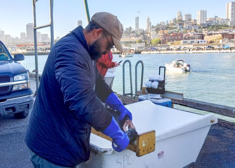 CDFW to Host Virtual Public Meeting on Ocean Salmon Fisheries