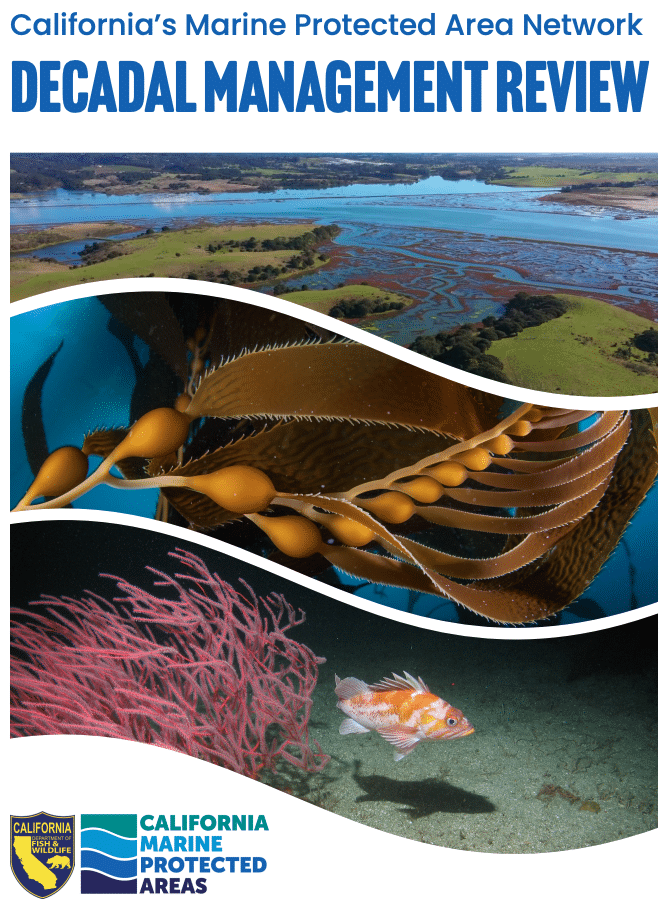 Your Feedback Requested on Marine Protected Area Management Priorities