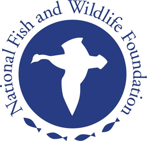 NFWF Seeking Proposals For Electronic Monitoring & Reporting Grant Program