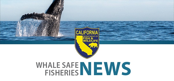 California Dungeness Crab Fishing Gear Working Group: Call for Nominations