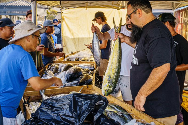 Nomination Period Is Now Open for the Marine Fisheries Advisory Committee